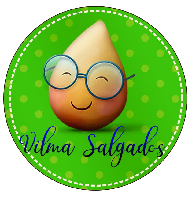 vilmasalgados-logo-circle